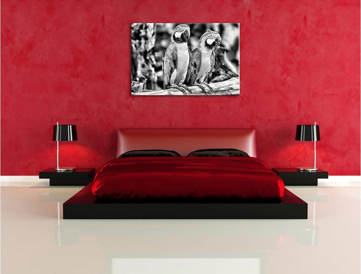 Monocrome, Zwei Papageien, Format: 100x70 auf Leinwand, XXL riesige Bilder fertig gerahmt mit Keilra