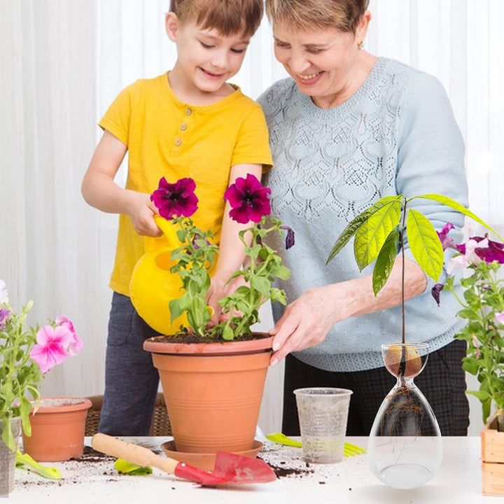 2 Stück Avocado-Samen, Sprossen, Starter-Vase, Avocado-Baum-Anbau-Set, Glasvasen, Gartensamen, Start