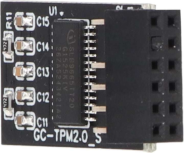 TPM 2.0 Modul LPC SPI 12 Pin Remote Card Encryption Security Board, Zubehör Kompatibel mit Plattform