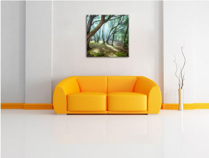 Pixxprint Wald, Format: 70x70 auf Leinwand, XXL riesige Bilder fertig gerahmt mit Keilrahmen, Kunstd