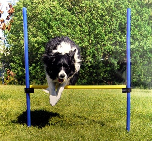 Drybed Agility Sport Hürde*Hohe Qualität*