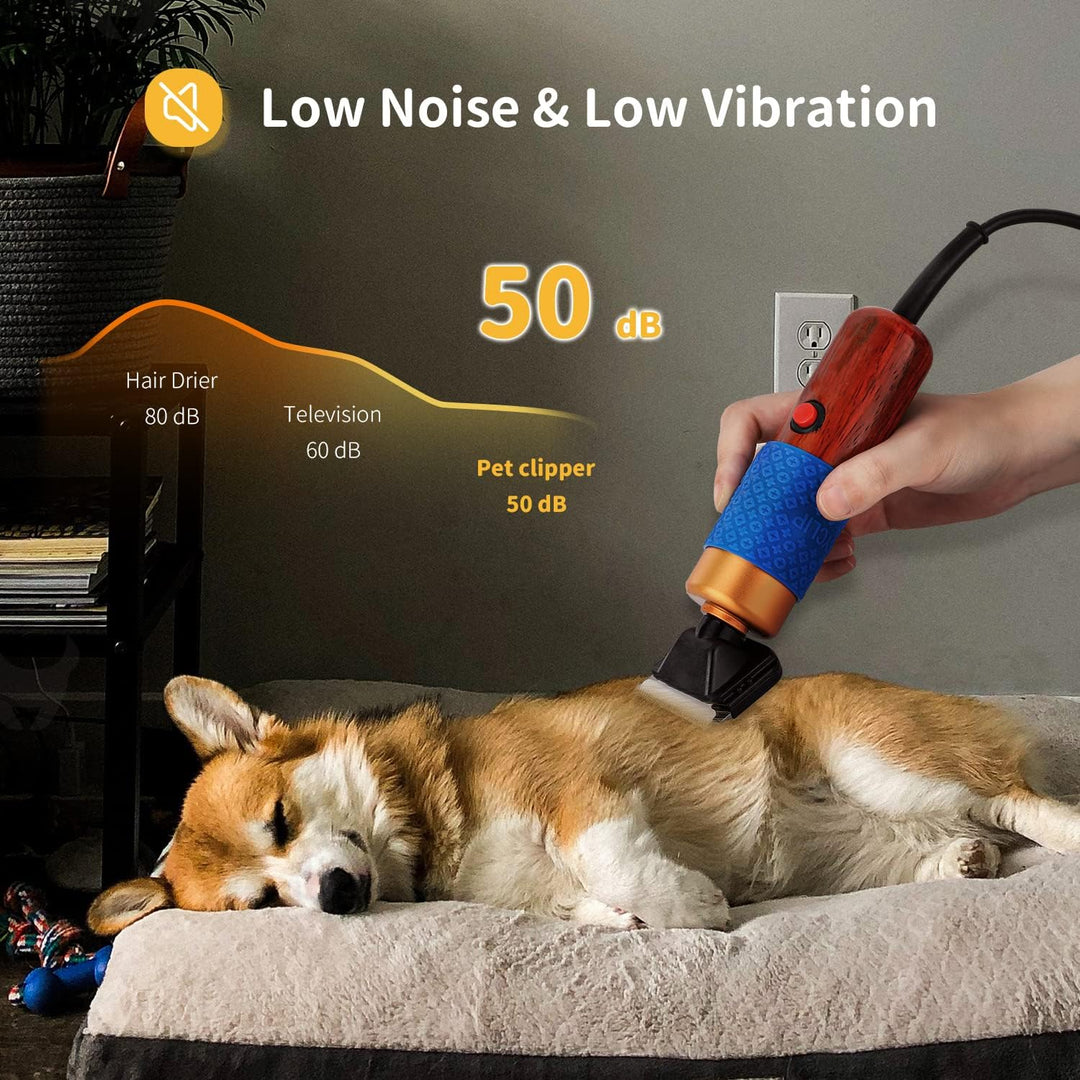 CGOLDENWALL 200W Hundeschermaschine Leise Profi Hund Katze Tierhaarschneider mit 3m Kabel, einstellb