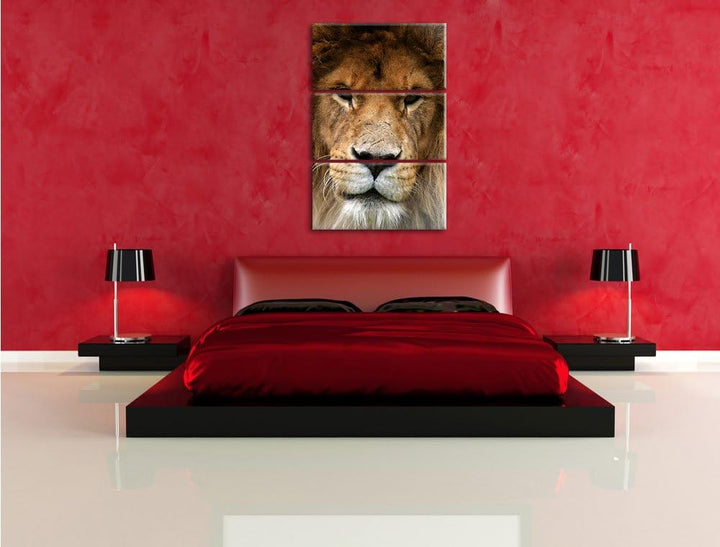 Pixxprint Kampfvernarbten / 3-Teilig/Gesamtmass 120cm Leinwandbild bespannt auf Holzrahmen/Wandbild