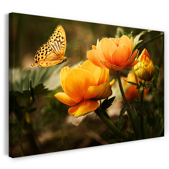 Printed Paintings Leinwand (80x60cm): Blumenbilder Schmetterling auf gelb-orangen Blumen 80x60 cm, 8