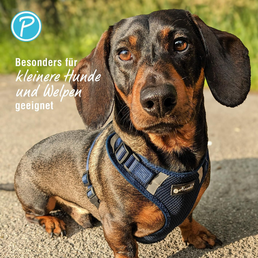 Petlando Hundegeschirr Mesh Vest, leichtes Brustgeschirr aus weichem Mesh & Nylon, stufenlos verstel