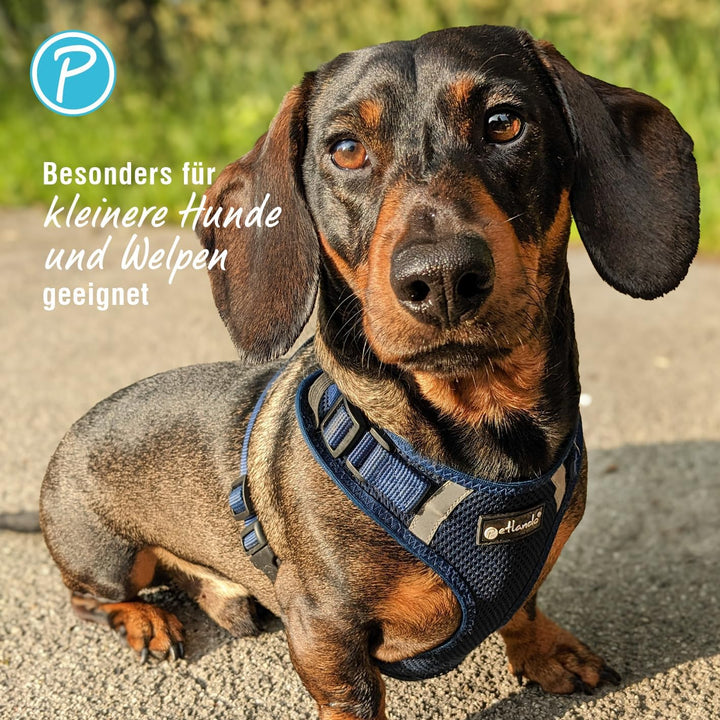 Petlando Hundegeschirr Mesh Vest, leichtes Brustgeschirr aus weichem Mesh & Nylon, stufenlos verstel