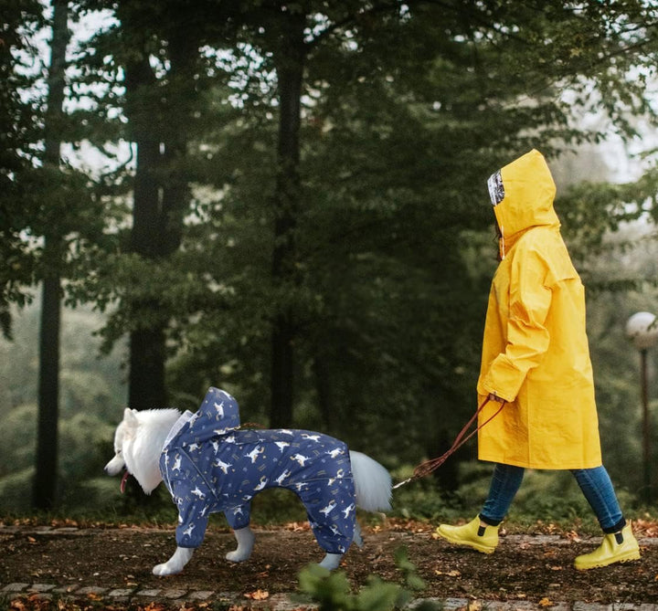 Idepet Regenmantel für Hunde, wasserdicht Winddicht mit Kapuze für kleine und mittelgrosse Hunde M B