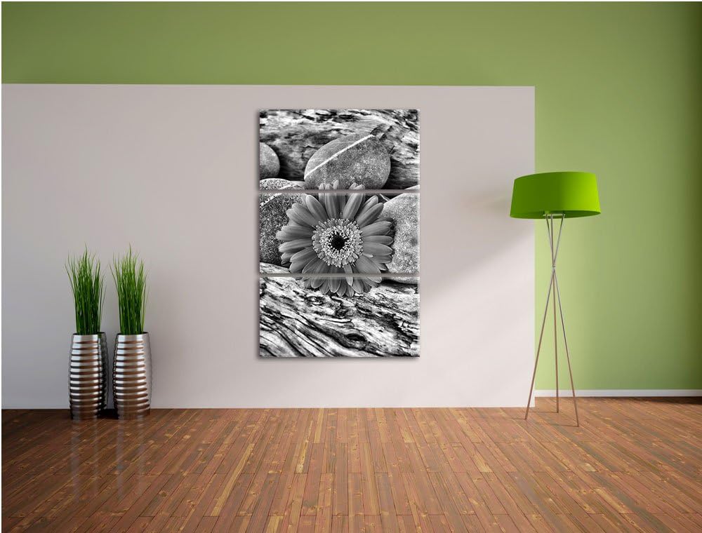 Pixxprint Gerbera zwischen Zen Steinen als Leinwandbild/Grösse: 3 Teilig (120x80) cm/Wandbild/Kunstd