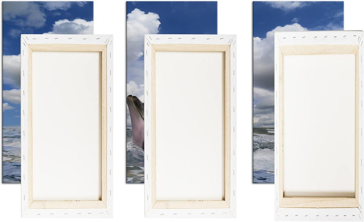 deyoli zauberhafter Delfin Format: 3Teilig als Leinwandbild, Motiv fertig gerahmt auf Echtholzrahmen