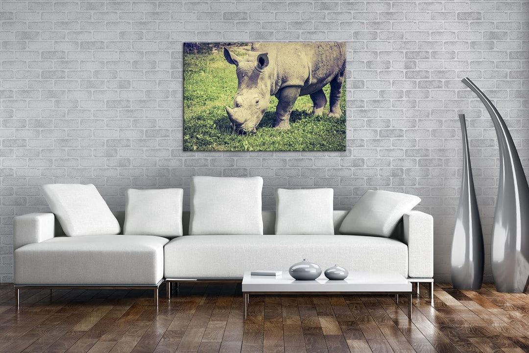 deyoli edles Nashorn Format: 80x60 als Leinwand, Motiv fertig gerahmt auf Echtholzrahmen, Hochwertig