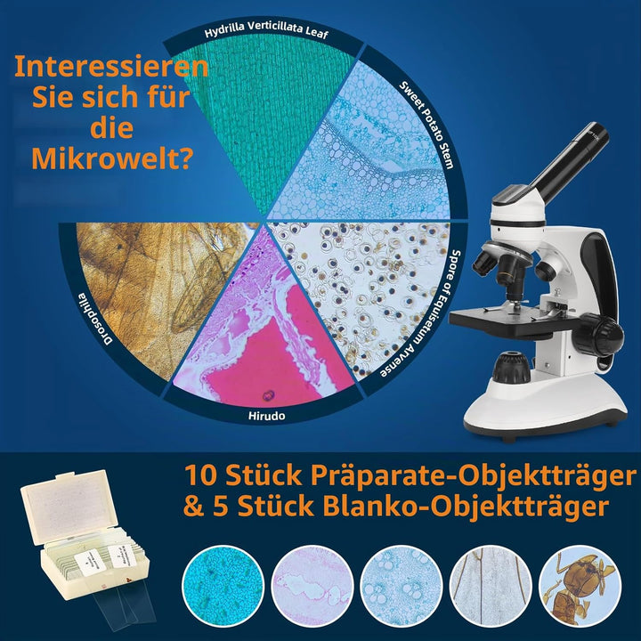 BEBANG Mikroskop für Kinder Studenten Erwachsene 40–2000x Vergrösserung Professionelle Biologische M