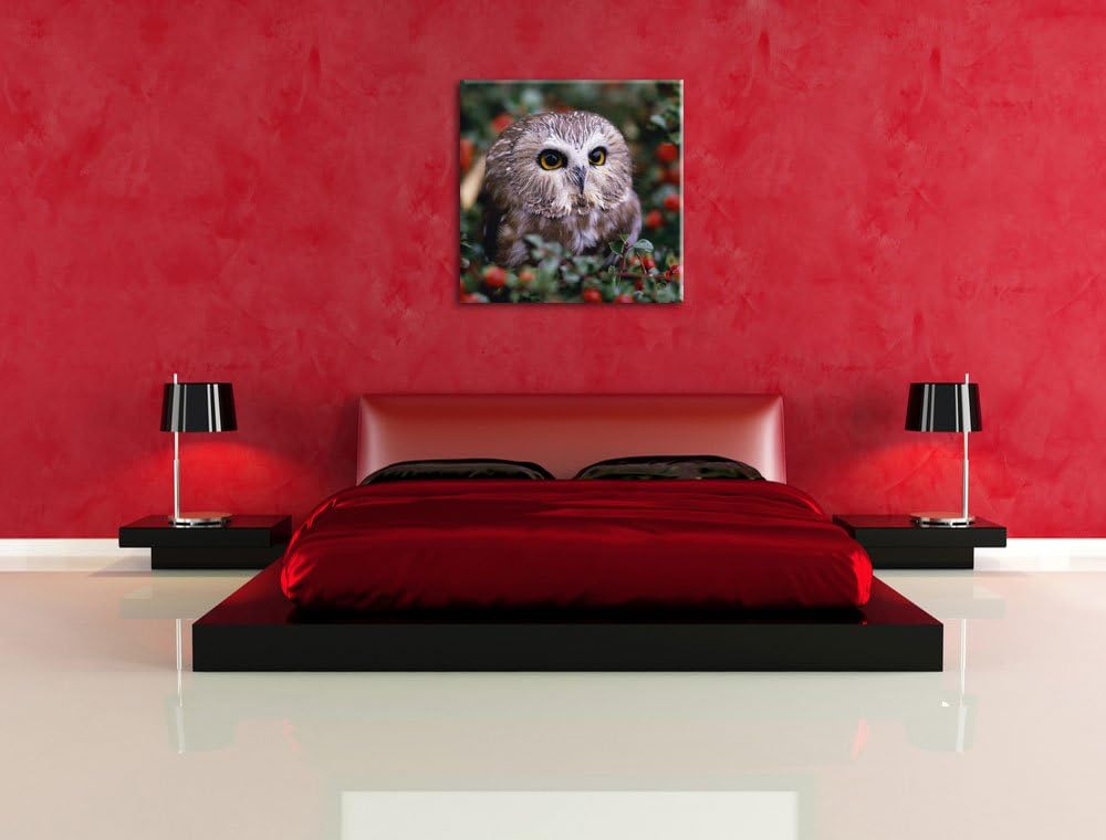 Pixxprint Kleine Eule im Vogelbeerenstrauch, Format: 70x70 auf Leinwand, 70x70
