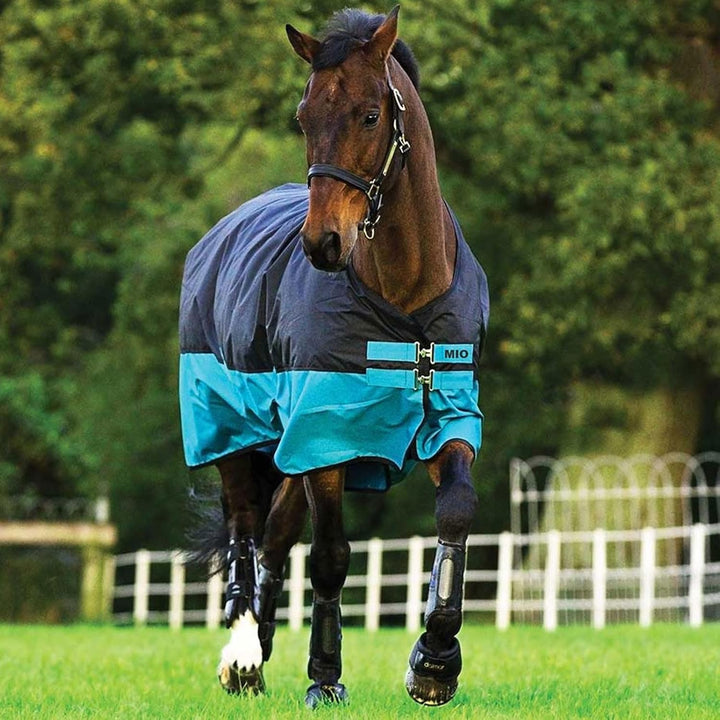 Horseware Amigo Mio Turnout medium black turquoise Weidedecke Winterdecke schwaz-türkis 6'0, schwaz-