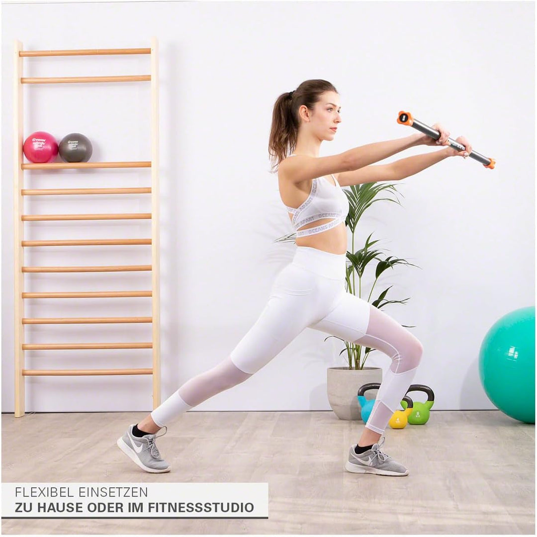 Sport-Tec Gewichtsstange, Hantelstange, Langhantel, Gewichtsstab, Aufbewahrungsständer A - 1 kg - ap