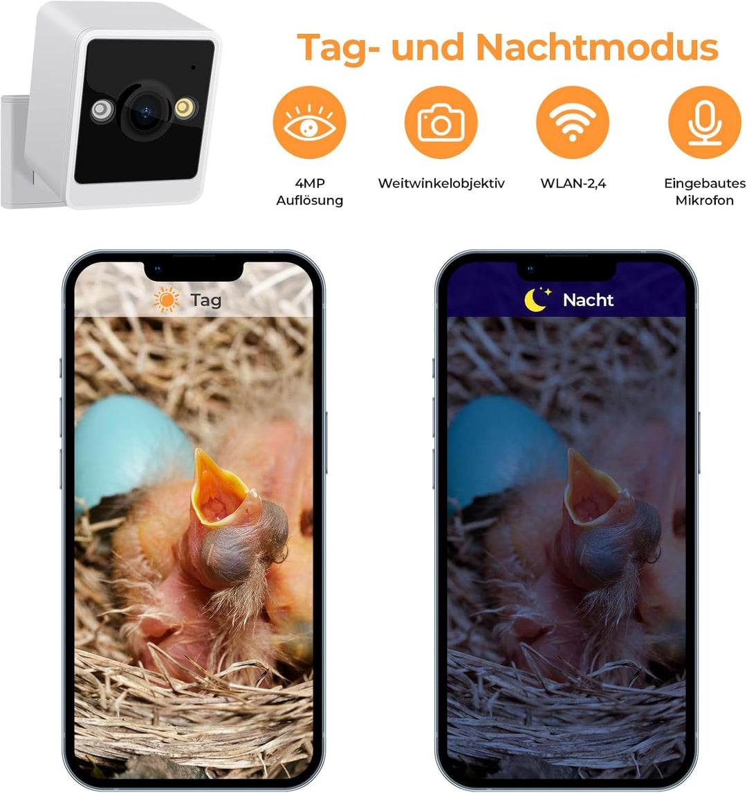RAINBEAN Bird House with Camera,Nistkasten mit Kamera, 4 Millionen Pixel Outdoor-Vogelhaus-Kamera, E