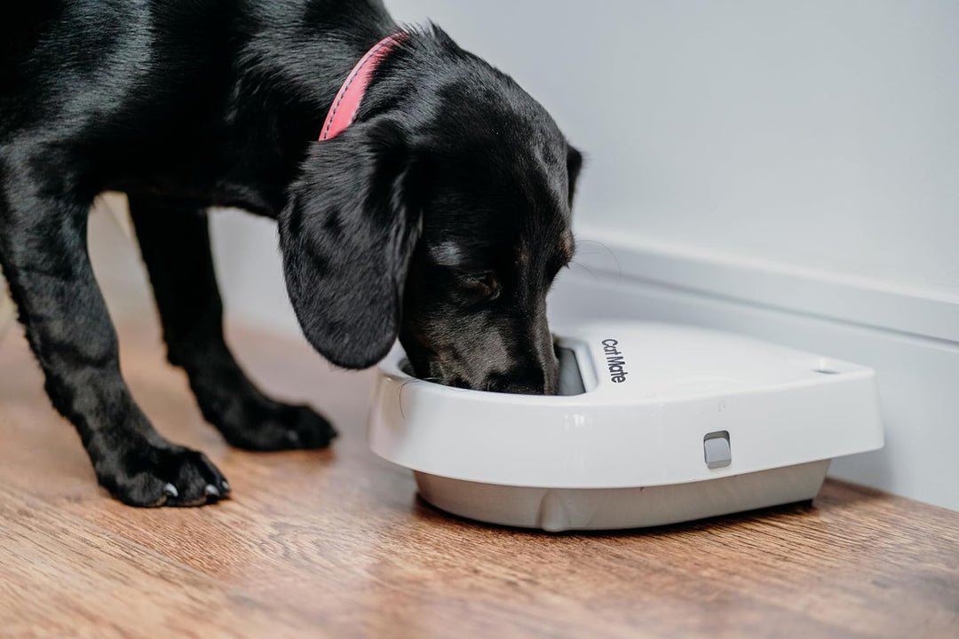Kerbl Cat Mate Futterautomat C300 (für Hunde + Katzen, 3 Futter-Fächer für je 330 g Tierfutter, mit