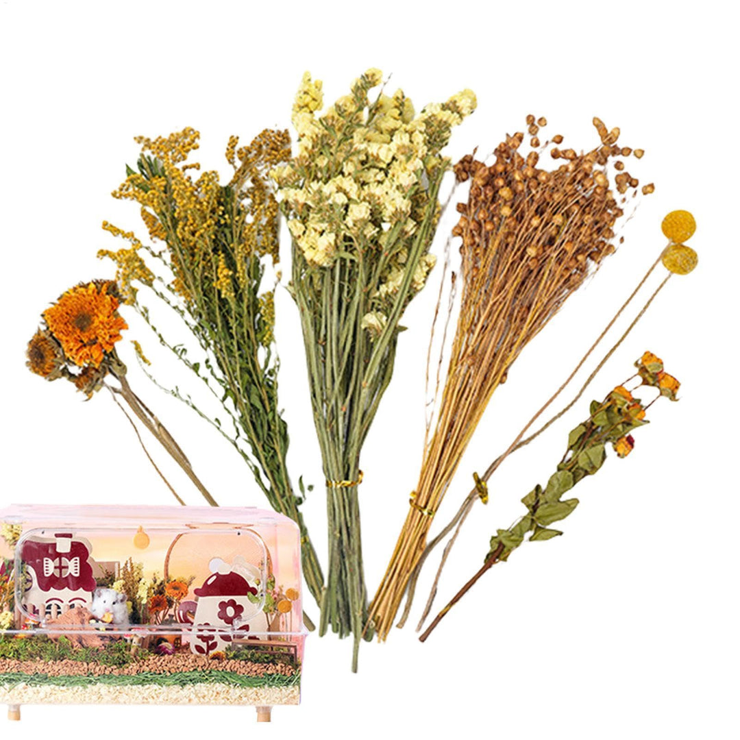 Hamster-Bettwäsche, NatürlicheBlume &amp; Kräuter Hamster Bettwäsche LebensraumDekor Getreide Meerschwei
