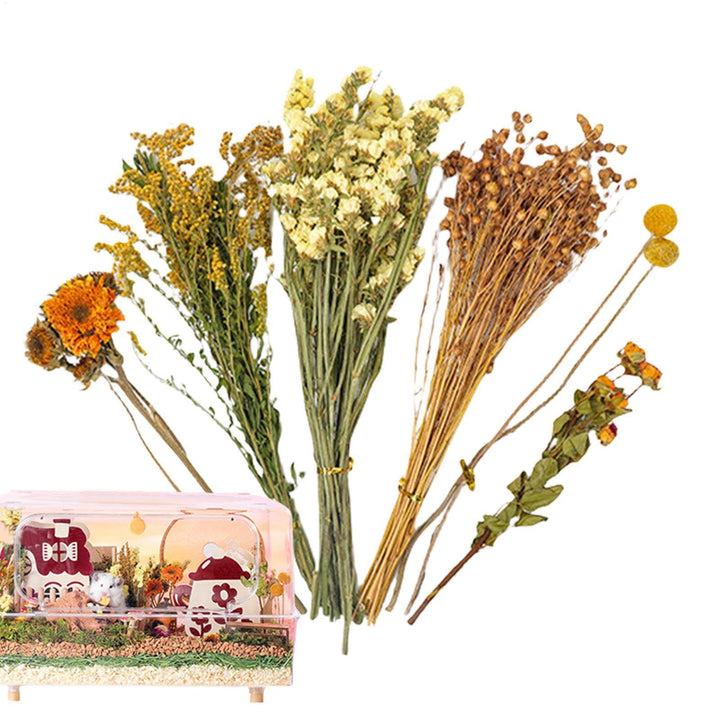 Hamster-Bettwäsche, NatürlicheBlume &amp; Kräuter Hamster Bettwäsche LebensraumDekor Getreide Meerschwei