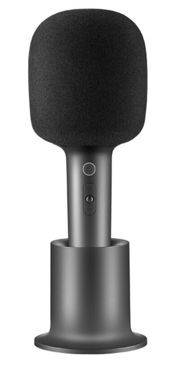 Karaoke Microphone