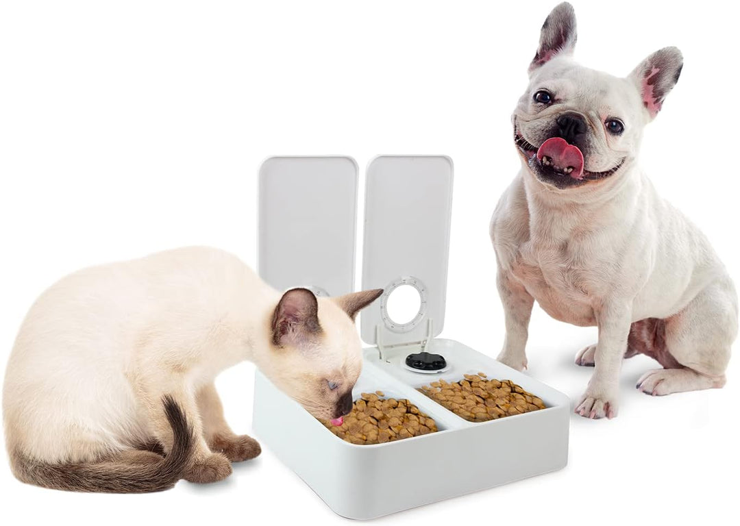 Liftstyle4Pets of Double Timer Feeder