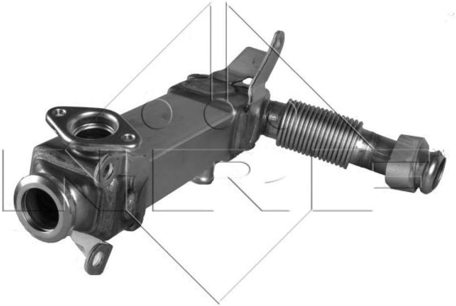 NRF 48001 AGR-Ventile