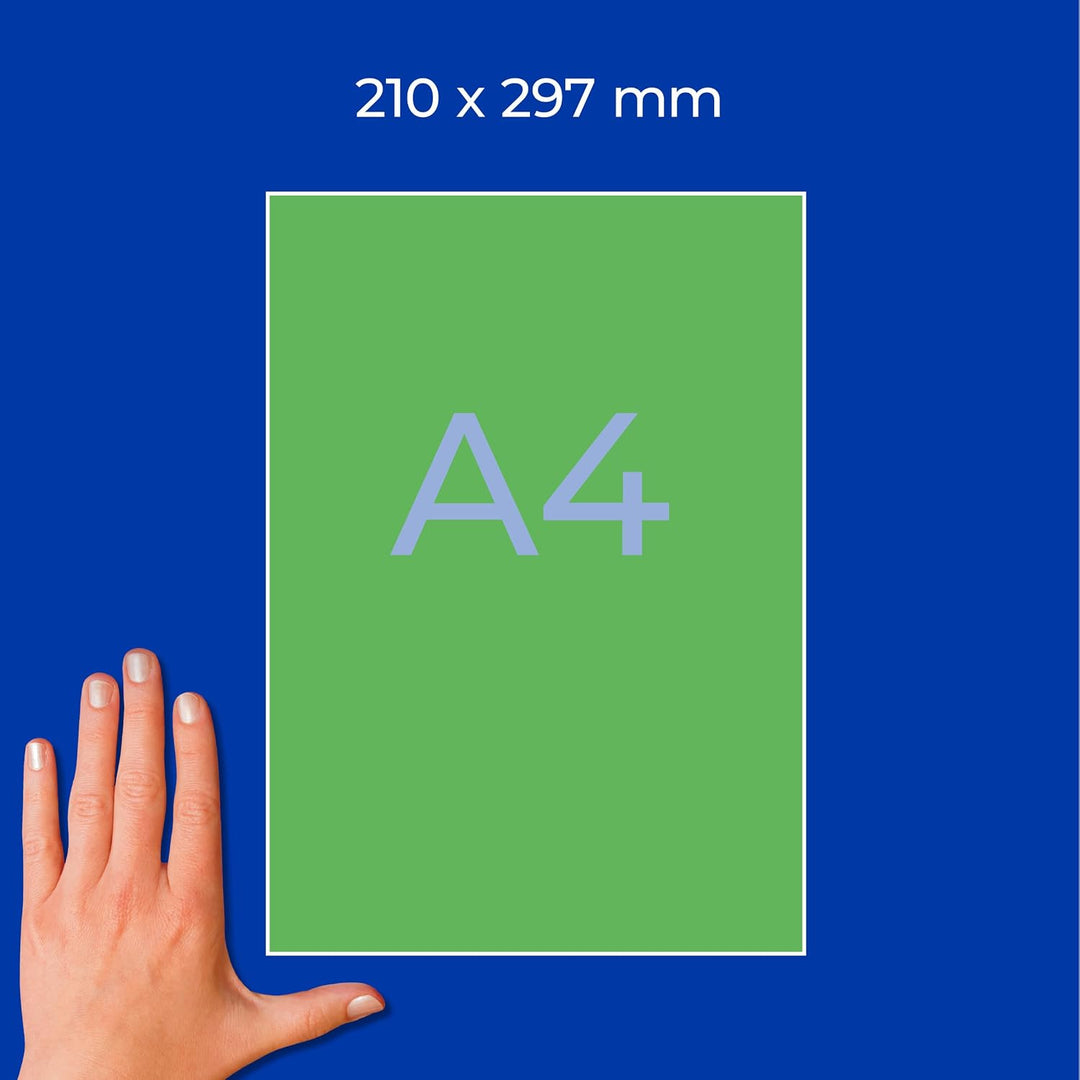 AVERY Zweckform 3472 Grüne Etiketten (100 Aufkleber, 210x297mm auf A4, permanent haftend, selbstkleb