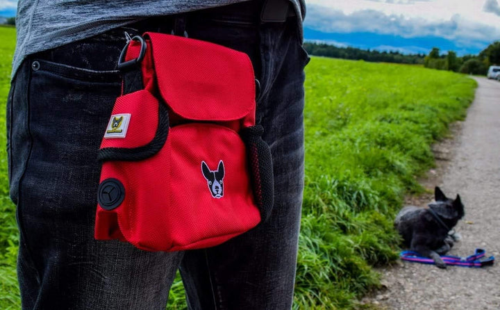 Hundefreund Futtertasche | Kleine Damen Handtasche für Leckerlis und Hundespielzeug | Leckerlitasche