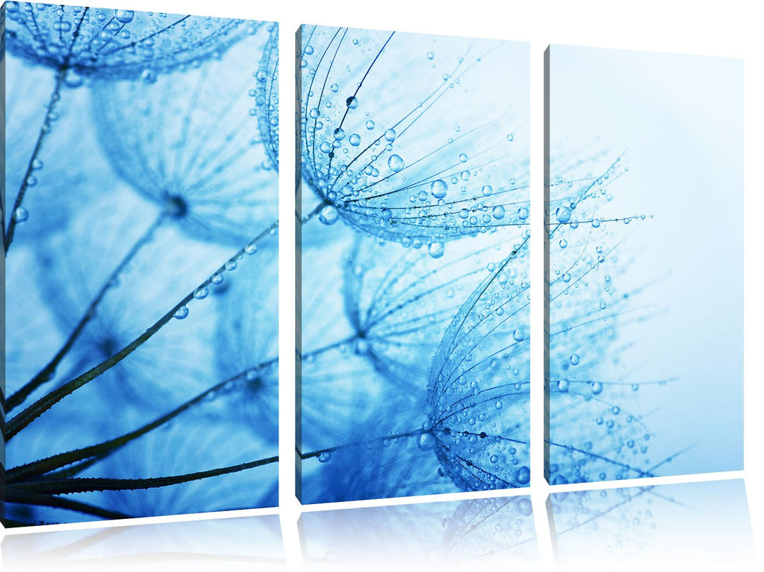 Pixxprint Tropfen bedeckte Pusteblumen 3-Teiler Leinwandbild 120x80 Bild auf Leinwand
