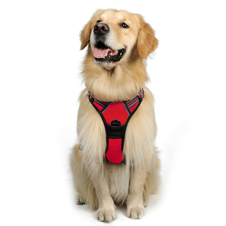 rabbitgoo Hundegeschirr Mittelgrosse Hunde Anti Zug Geschirr Hund mit Kontrolle No Pull Verstellbar
