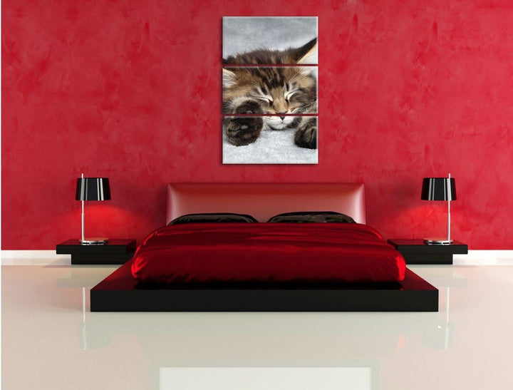 Pixxprint Süsse Baby Katze als Leinwandbild/Grösse: 3 Teilig (120x80) cm/Wandbild/Kunstdruck/fertig