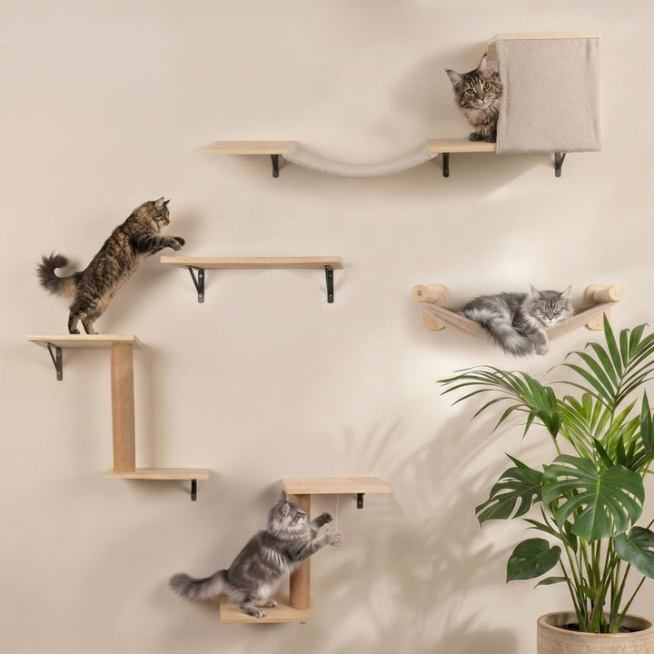 WOOWOOD Kletterwand Katzen - 12 teilig - Beste Stabilität - Kratzbaum Katze aus Naturholz, Katzen Hä