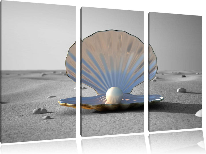 Perlenmuschel am Strand schwarz/weiss 3-Teiler Leinwandbild 120x80 Bild auf Leinwand, XXL riesige Bi