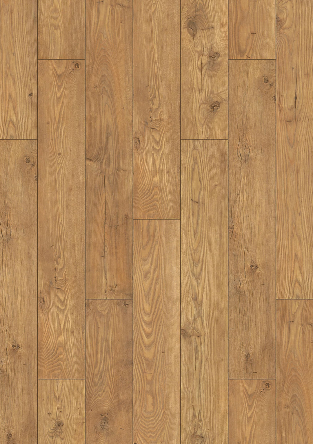 Atlantic 10 5537 Tawny Chestnut