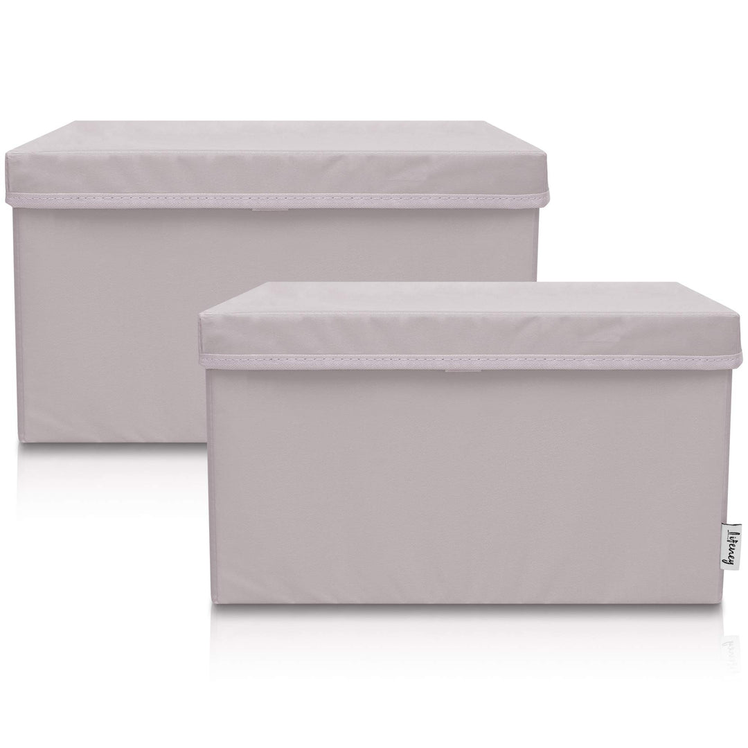 LIFENEY 2-Set Aufbewahrungsbox Kinder (37x25x21cm) I Aufbewahrungskorb für Kinderzimmer und Wohnbere