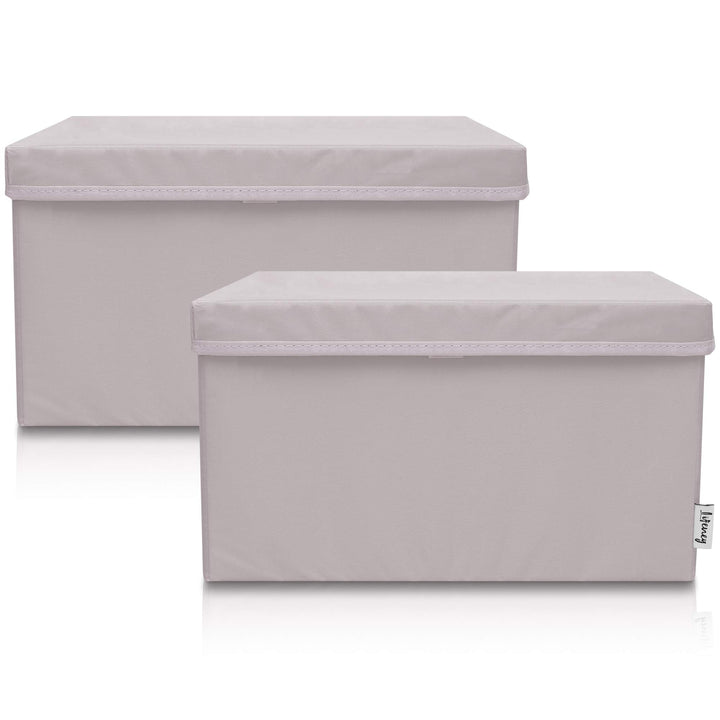 LIFENEY 2-Set Aufbewahrungsbox Kinder (37x25x21cm) I Aufbewahrungskorb für Kinderzimmer und Wohnbere