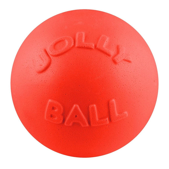 Bounce-N-Play Ball