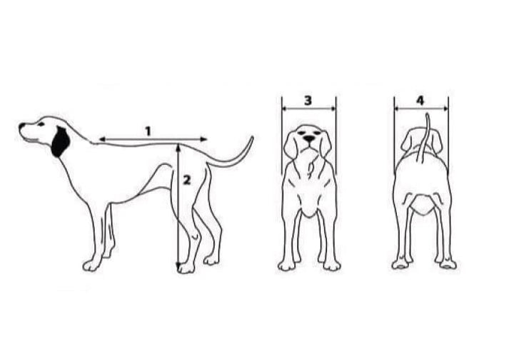 Rollstuhl für Hunde Hunderollstuhl Gehhilfe 4x4 Beine Hund Tierlaufrad Gross XL