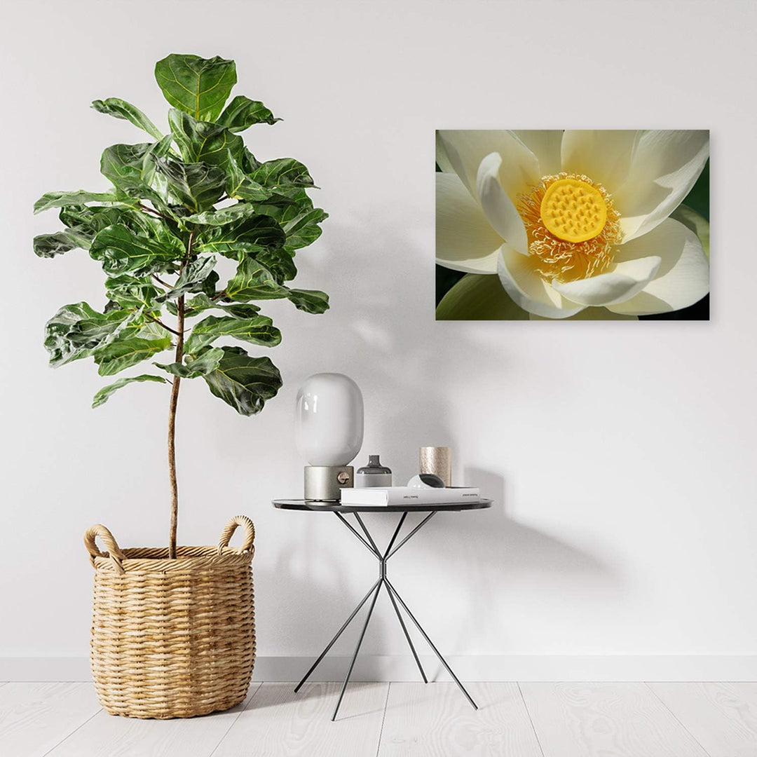 Feeby Wanddeko Blume Bild Kunstdruck modern Natur Gelb 80x60 cm Deko Paneel 80x60 cm Gelb_A, Deko Pa