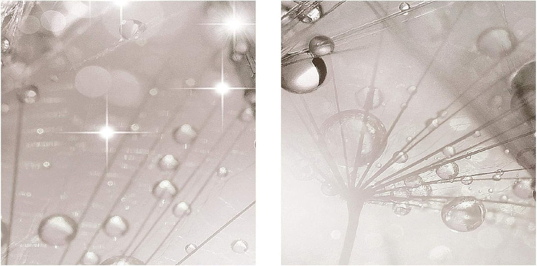 Runa Art Bild Pusteblume Wandbilder auf Vlies Leinwand 5 Teilig Wanddekoration Wohnzimmer Schlafzimm