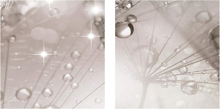 Runa Art Bild Pusteblume Wandbilder auf Vlies Leinwand 5 Teilig Wanddekoration Wohnzimmer Schlafzimm