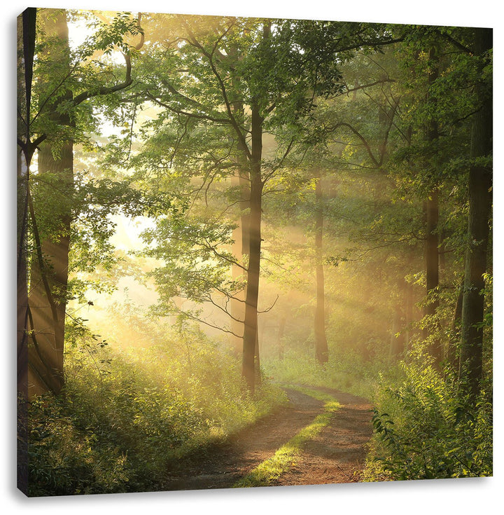 Waldweg im Winter, Format: 70x70 auf Leinwand, XXL riesige Bilder fertig gerahmt mit Keilrahmen, Kun