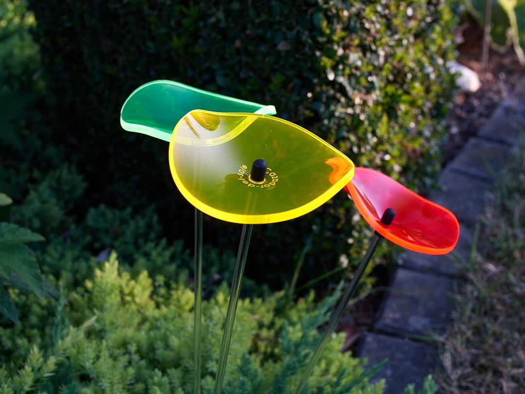 Cazador-del-sol ® - das Original | Lucille | 6 Stück | geschwungener Sonnenstrauss kunterbunt | Durc