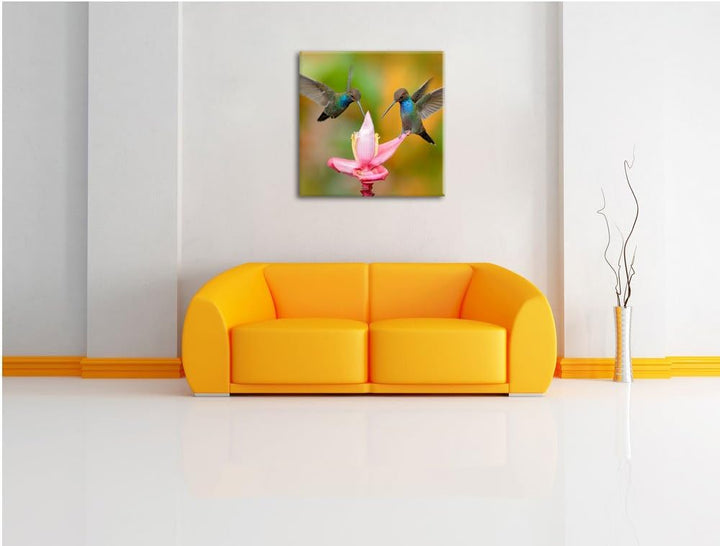Pixxprint Zwei Fliegende Kolibris in den Tropen, Format: 70x70 auf Leinwand, 70x70