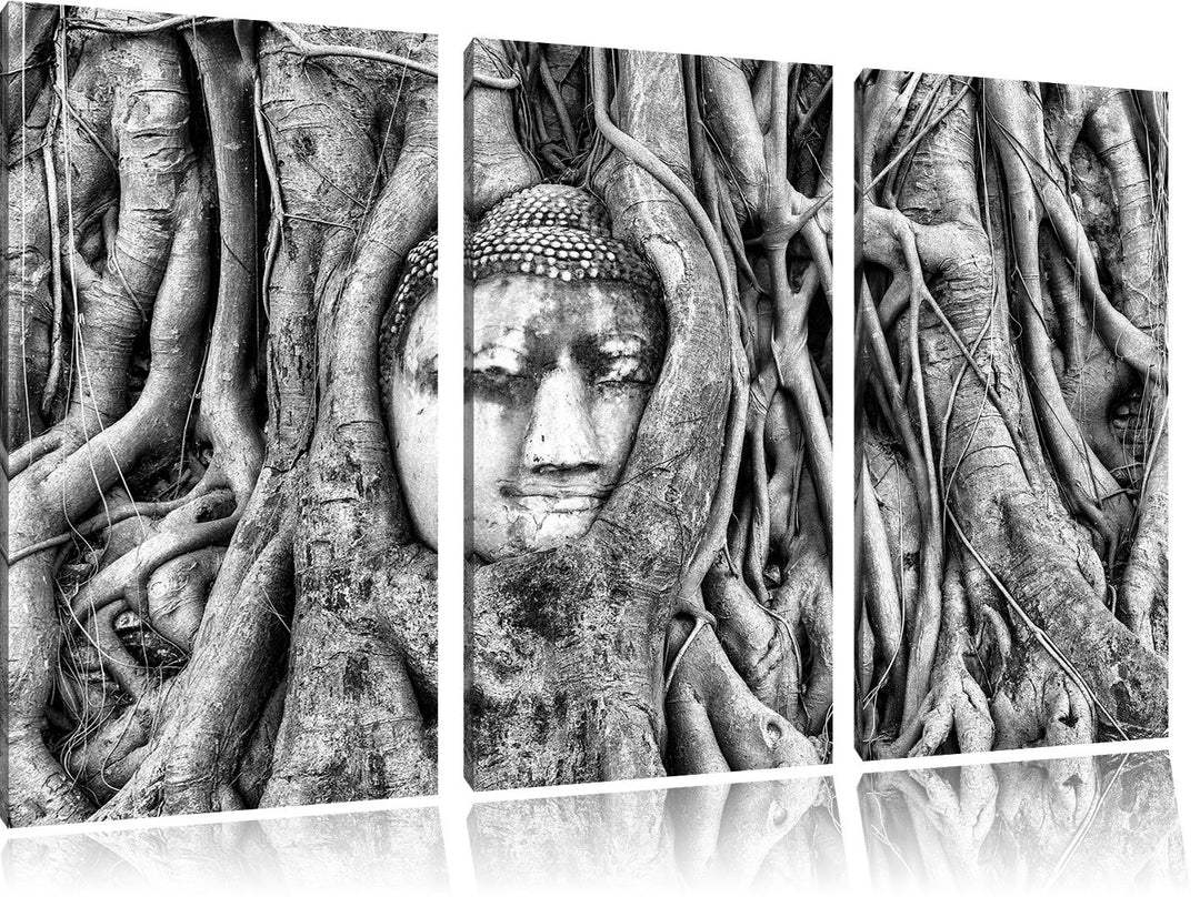 Pixxprint Buddha Kopf im Baum / 3-Teilig/Gesamtmass 120cm Leinwandbild bespannt auf Holzrahmen/Wandb
