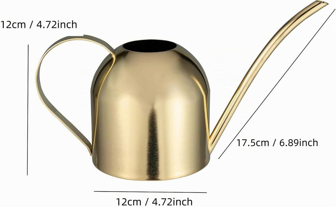 IMEEA 900ML Edelstahl Giesskanne, Zimmergiesskannen Moderner Blumengiesskanne mit Langer Auslauf für