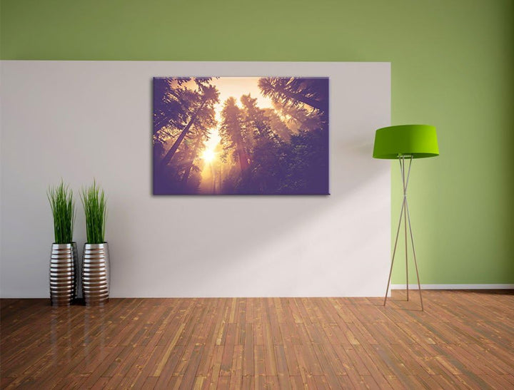 Blick in die Baumwipfel, Format: 100x70 auf Leinwand, XXL riesige Bilder fertig gerahmt mit Keilrahm