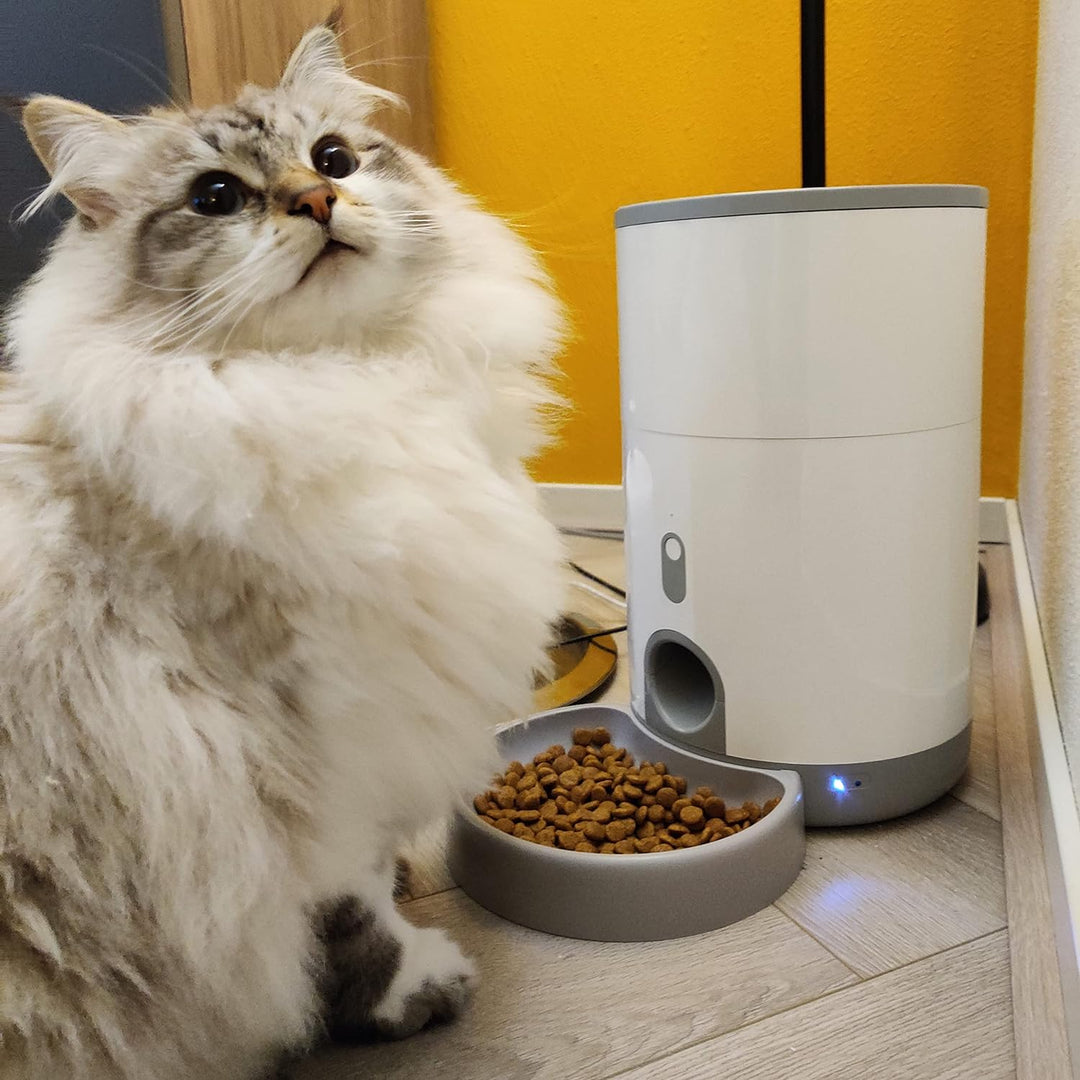 Pettadore Nutri Fresh - Futterautomat Katze/Hund - Smart und frisch mit Siegel, Automatischer Futter
