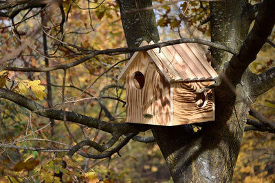 dobar® 22231FSCe Eichhörnchenkobel - Eichhörnchenhaus aus Massivholz - Futterhaus für Eichhörnchen -