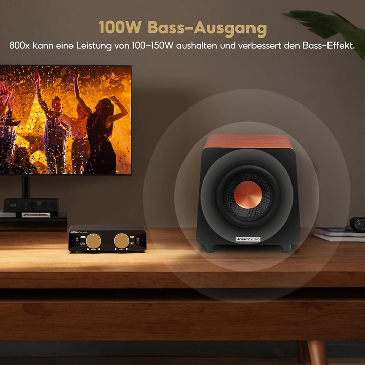 AIYIMA 800X Subwoofer Aktiv 8 Zoll, 100Watt Sub Woofer mit RCA AUX LFE Eingänge, Integrierter Verstä