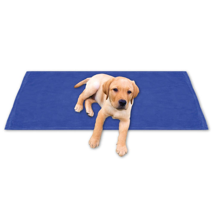 Bestgoodies Tierdecke Haustierdecke Kuscheldecke Hundebett Katzendecke (Kuschel - Supersoft / 90x140